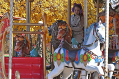 park-topolya8
